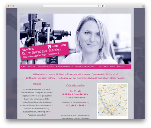 Pizazzwp libs WordPress plugin - augenarztinwien.at