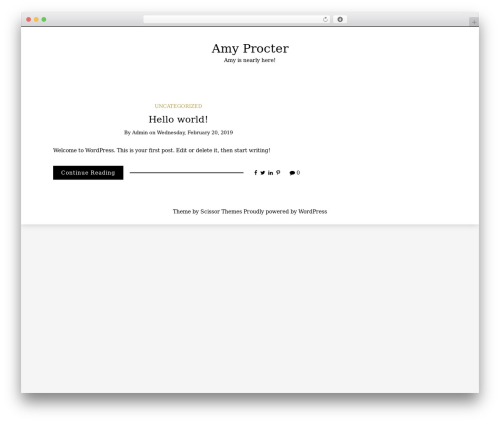 WordPress theme Writee - amyprocter.com
