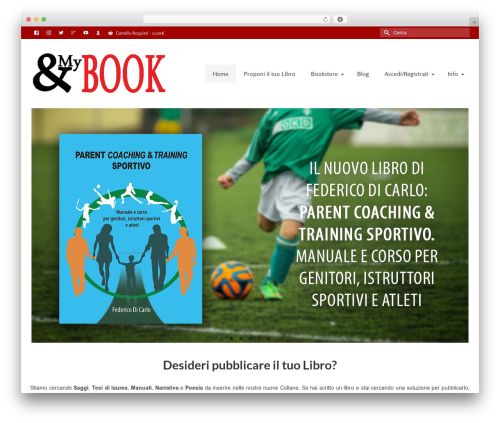 Woo product category discount WordPress plugin - andmybook.it