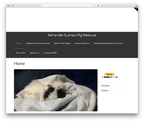 List Petfinder Pets (petfinder-listings) free WordPress plugin - ashevilleguineapigrescue.org