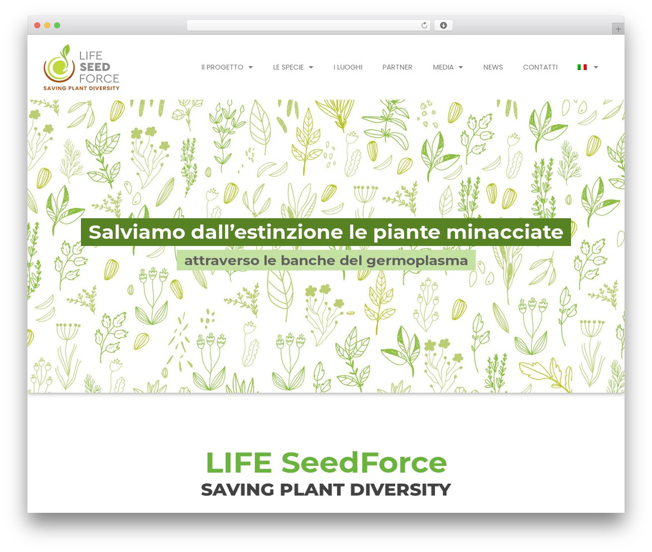 Greensoulem WordPress theme - lifeseedforce.eu