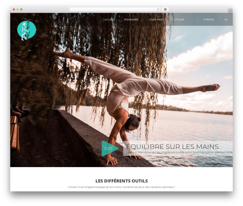 Shopwp pro WordPress plugin - learn2handstand.com