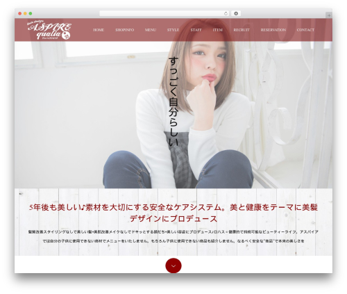 Tcd workflow WordPress plugin - aspire-web.jp