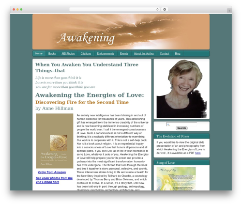 Theme WordPress Semiologic - annehillman.net