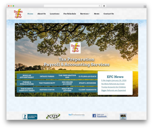 Theme WordPress Webcitz Theme - electronicfilingcenter.com