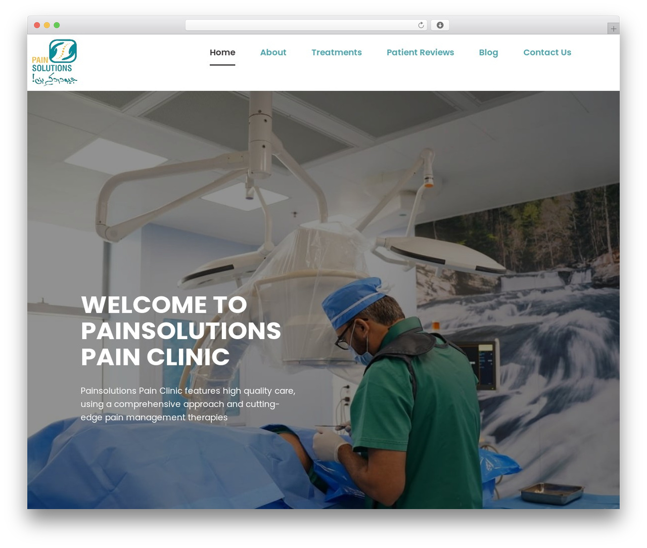 WordPress theme Hello Elementor - painsolutions.com.pk