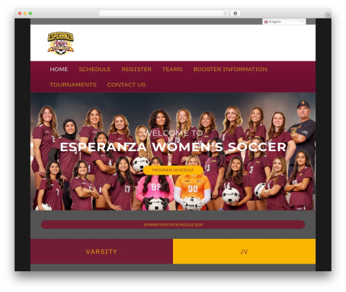 Awesome weather pro WordPress plugin - esperanzasoccer.com