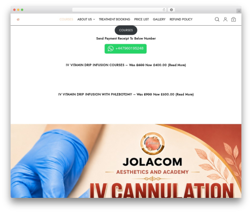 Overline WordPress theme - jolacom.com
