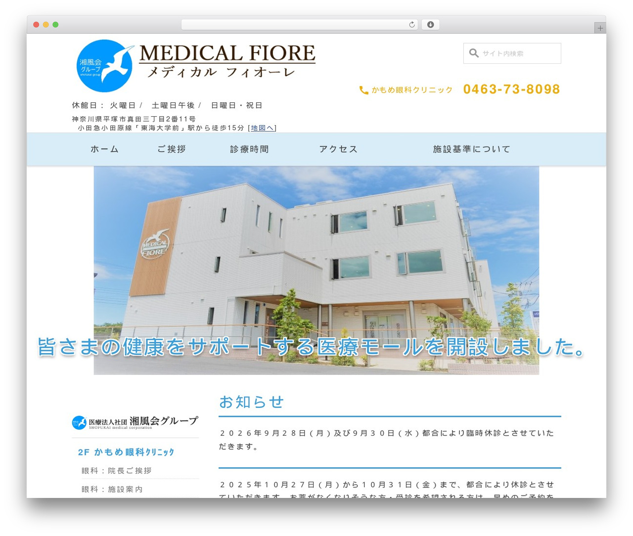 theme theme WordPress - medicalfiore.jp