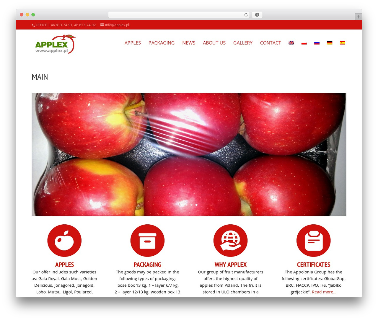 Theme WordPress Divi - applex.pl