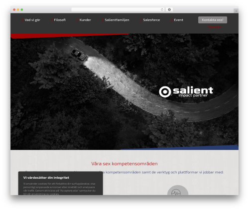 WordPress theme Divi - salientpartner.com