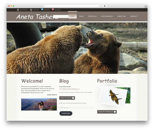 WordPress Theme Number theme WordPress - anetatasheva.com