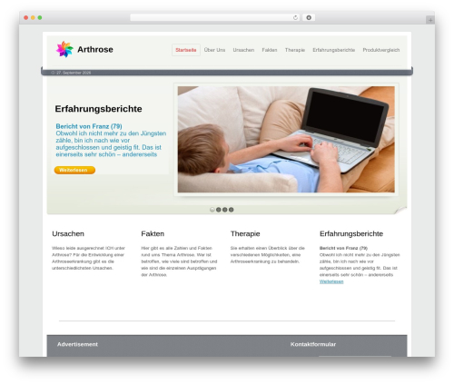 Reason theme WordPress - arthrose1.info