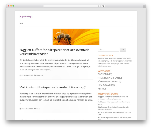 Tiny Framework WordPress theme - angelfish.se