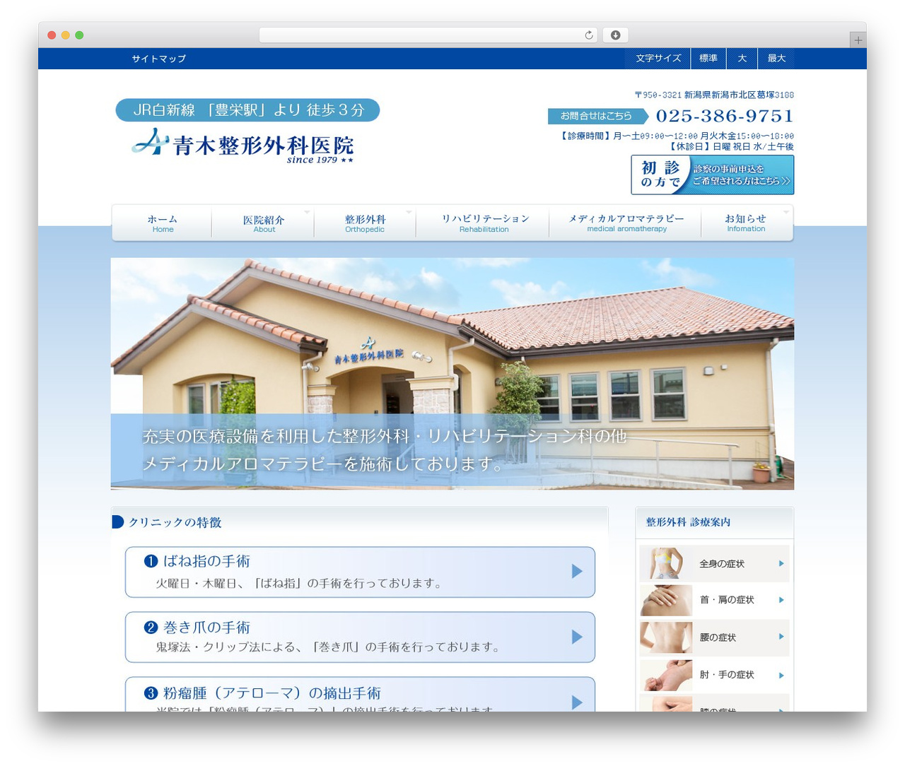WordPress website theme ホスピタテンプレート ヘッダメニュー版 - aokiseikei.jp
