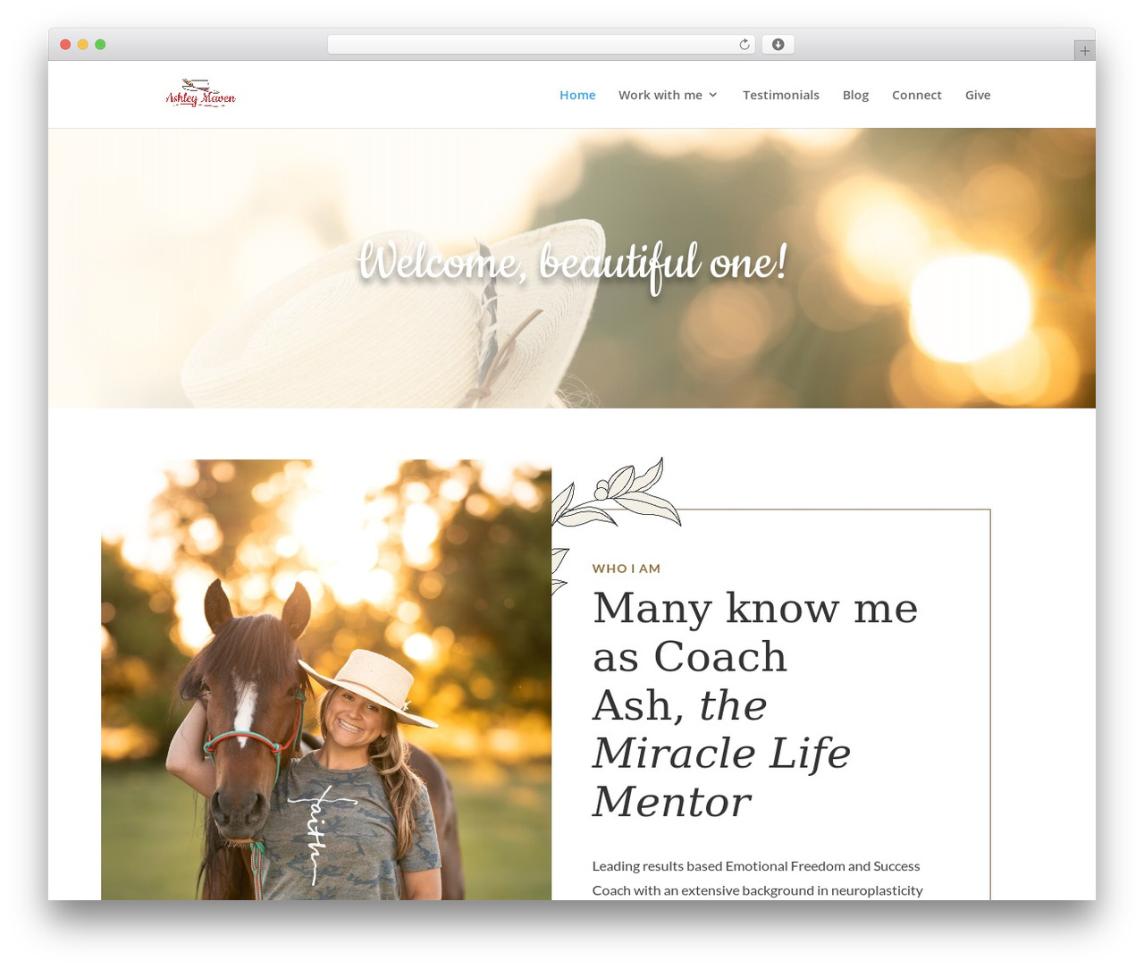 Divi WordPress theme - ashleymaven.com