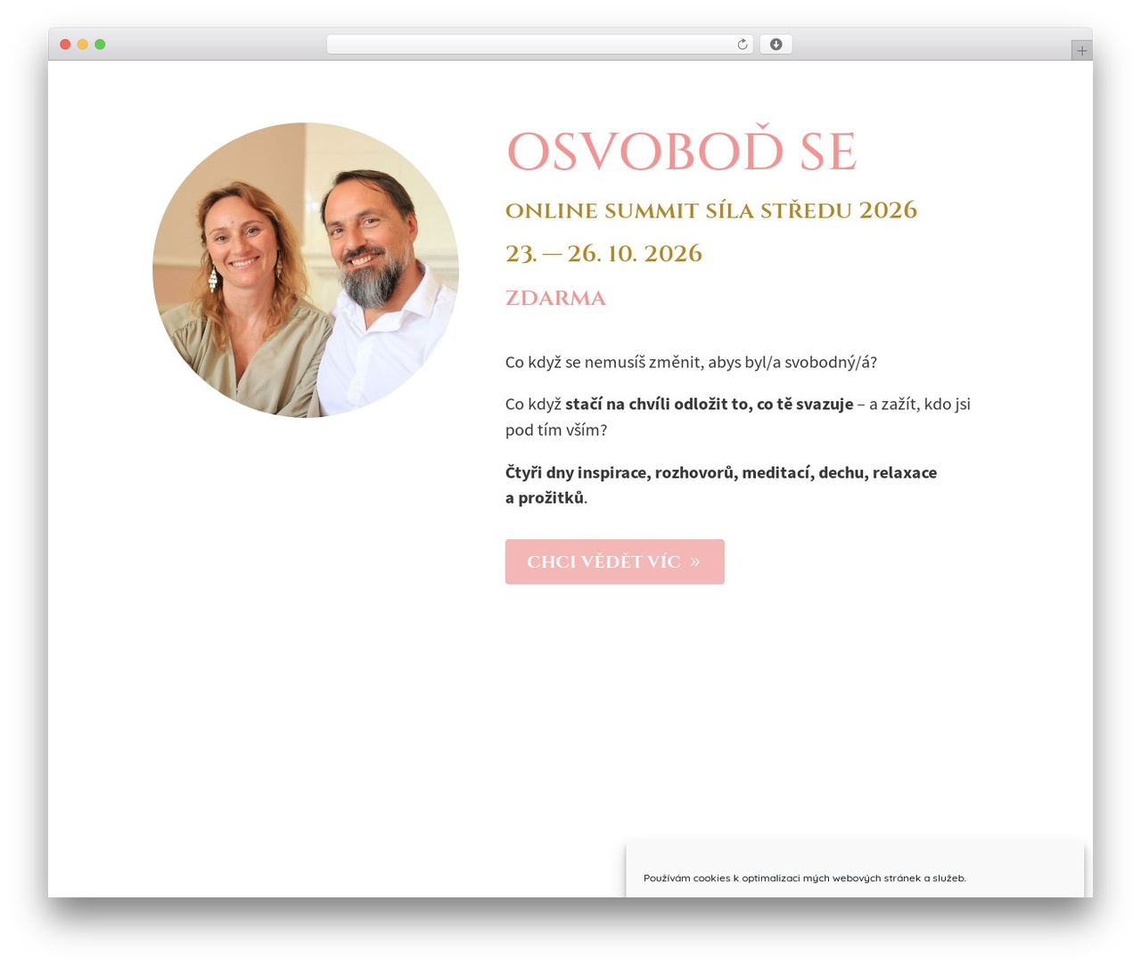 Divi WordPress theme - petravystavelova.cz