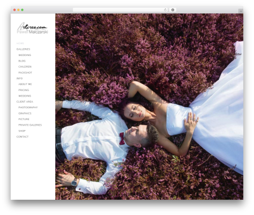 Showbiz WordPress plugin - artcreo.com