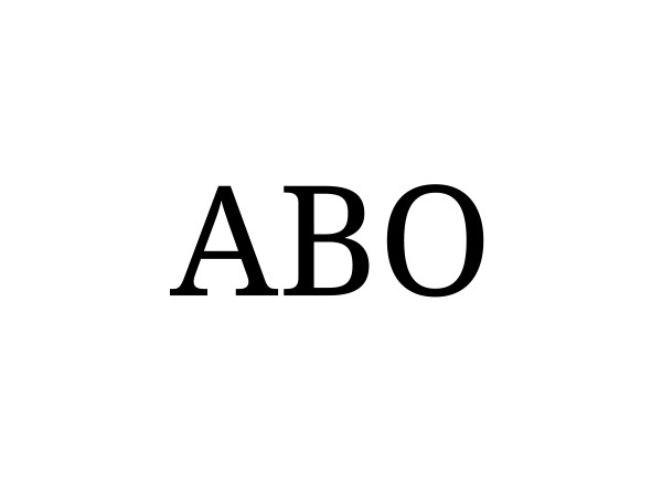 WordPress theme ABO