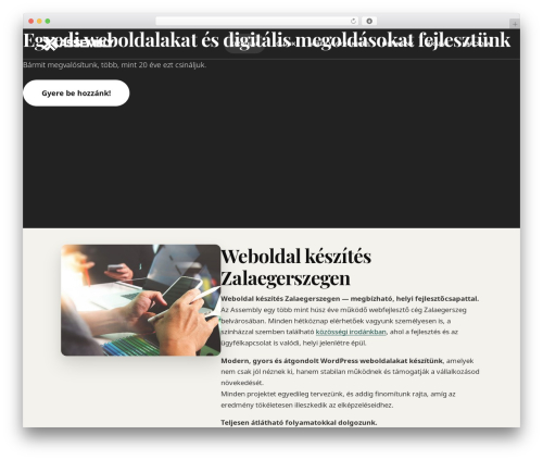WP theme ASSEMBLY THEME (responsive) - assembly.hu