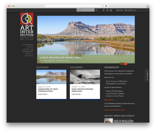 Nextgen gallery plus WordPress plugin - artintersection.com