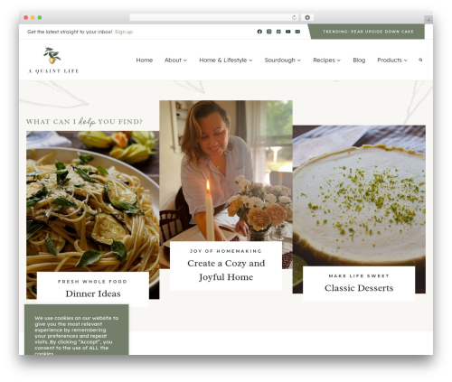 Kadence best free WordPress theme - aquaintlife.com