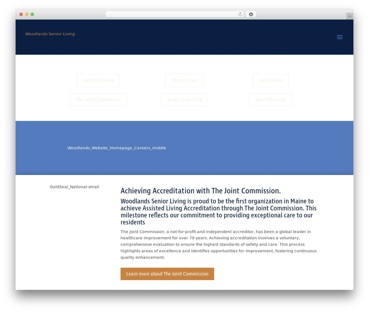 Divi top WordPress theme - woodlandsmaine.com Divi top WordPress theme - woodlandsmaine.com