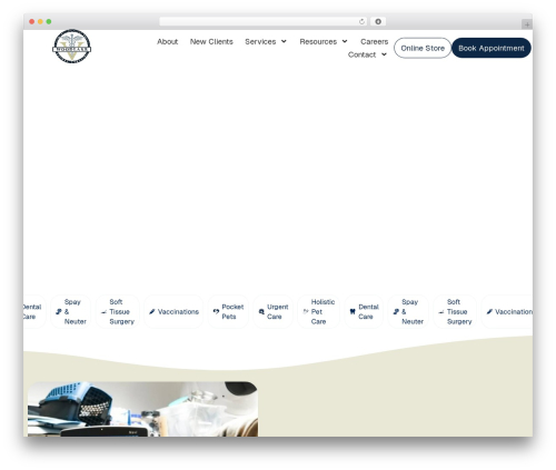 Signature field for elementor forms WordPress plugin - woodlakeanimalhospital.net