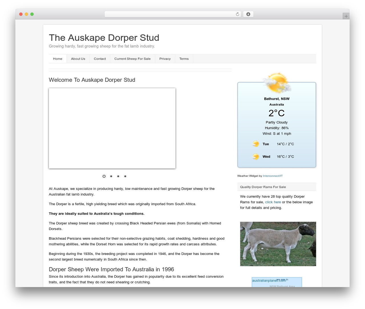 WordPress website theme Catalyst - auskapedorpers.com.au WordPress website theme Catalyst - auskapedorpers.com.au