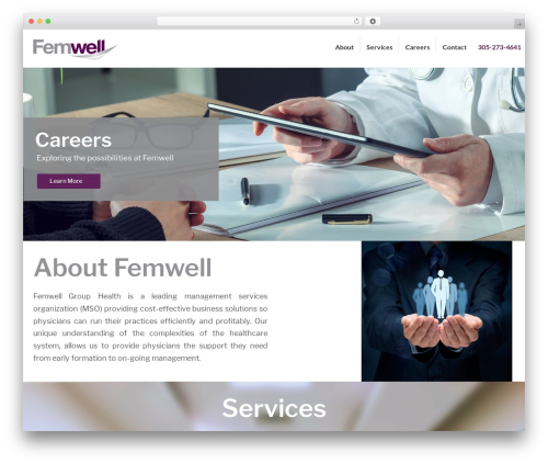 Best WordPress theme Lambda - femwell.com