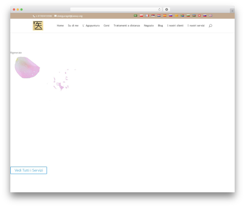 Language switcher for divi polylang WordPress plugin - medicinacinese.ch