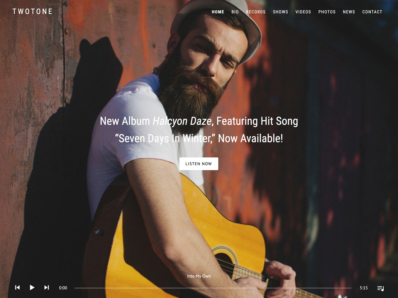 Twotone best WordPress gallery