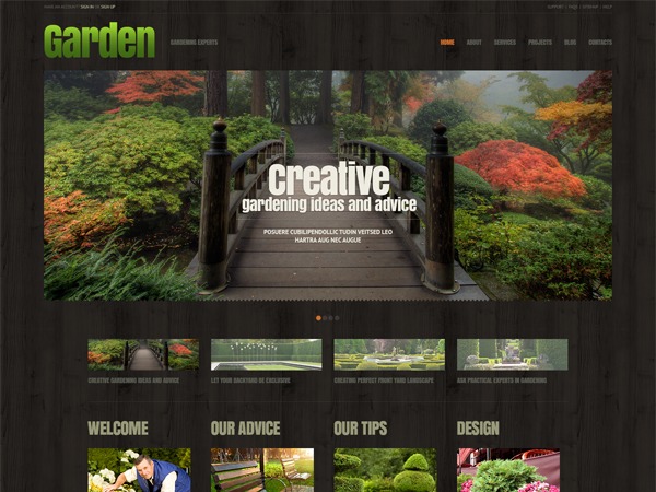 WordPress theme theme44898 WordPress theme theme44898