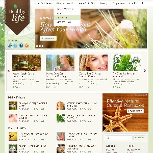 WordPress Theme 1269 WordPress theme