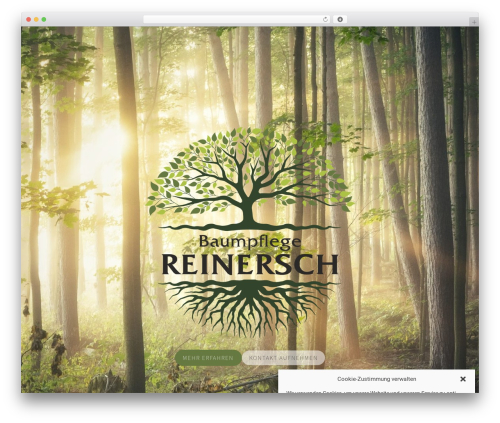 Cm4all wordpress WordPress plugin - reinersch.com