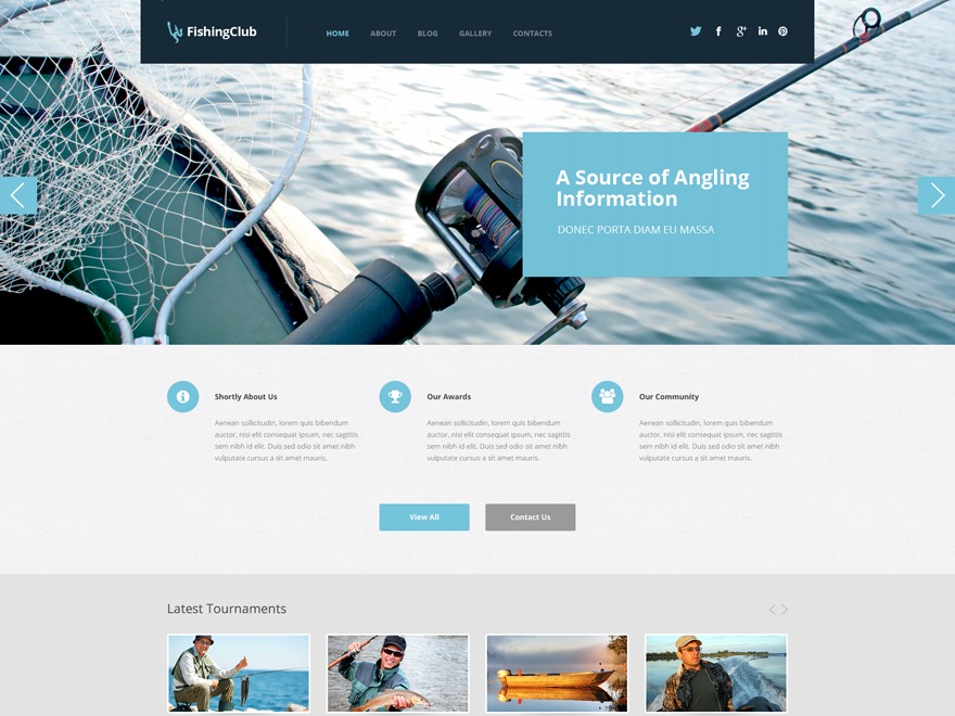 WordPress theme theme50743