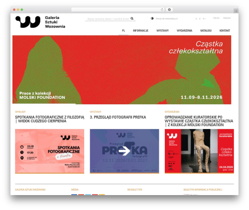Advanced Browser Check (advanced-browser-check) free WordPress plugin - wozownia.pl