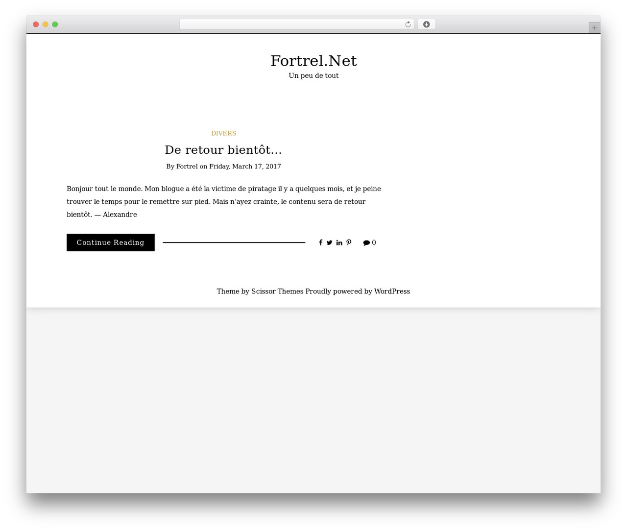 Writee free WordPress theme - fortrel.net/blog