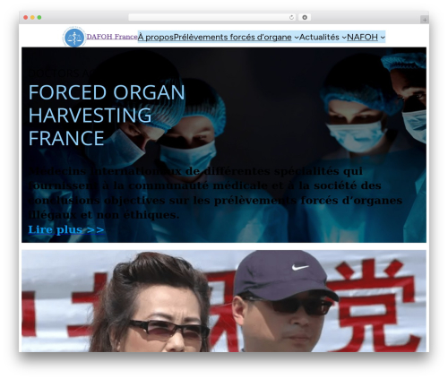 Blockbase WordPress theme - dafoh-france.org