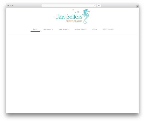 Hello Elementor theme WordPress - jansellorsphotography.com