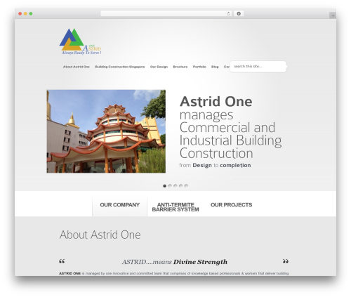 Wpsocial seo pro WordPress plugin - astridone.com.sg