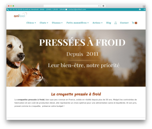 Woo donations pro WordPress plugin - anifeel.com