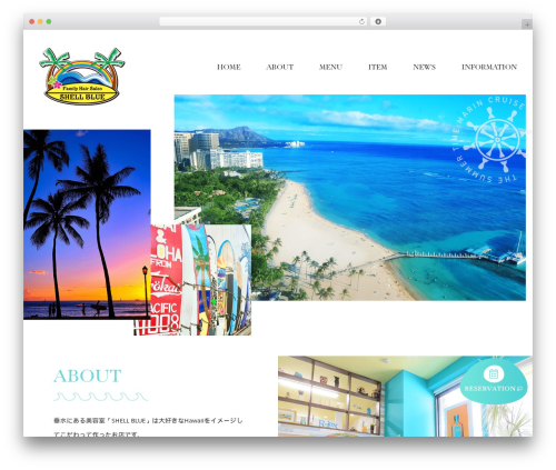 Themify Basic best WordPress theme - shell-blue.com