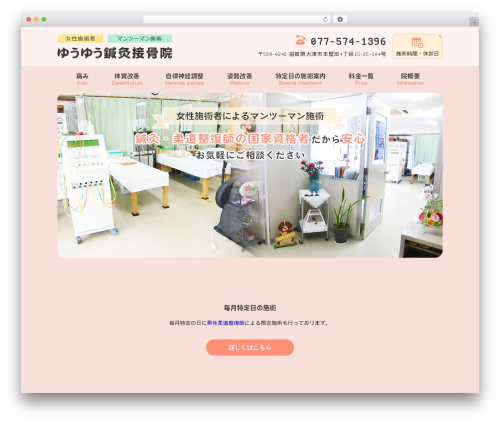 Themify Basic theme WordPress - yu-yu-shinkyu.com