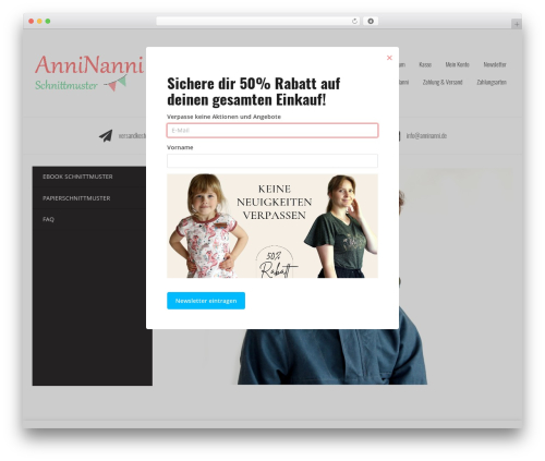 Newsletter2Go free WordPress plugin - anninanni.de