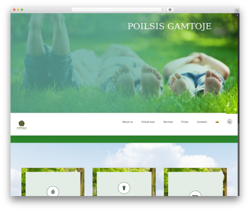 WPML flag in menu Extended (wpml-flag-in-menu-extended) free WordPress plugin - aukstupys.lt