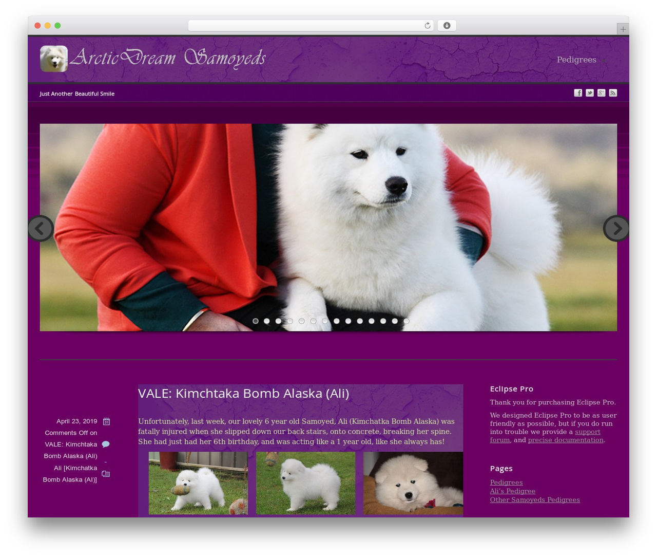 WordPress theme Eclipse Pro - arcticdreamsamoyeds.com WordPress theme Eclipse Pro - arcticdreamsamoyeds.com