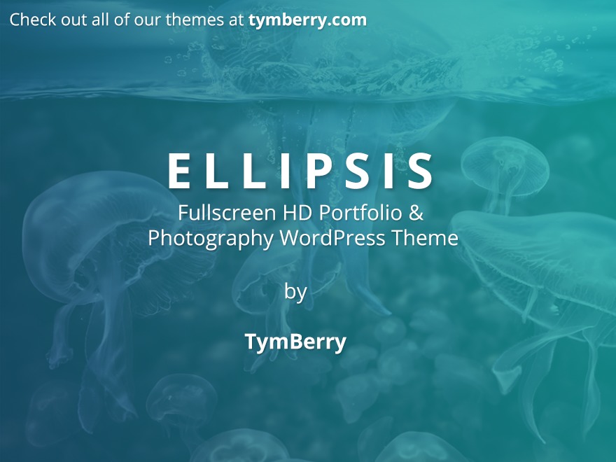 Andy WordPress theme by TymBerry