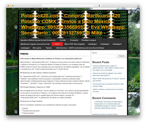 Asteroid WordPress theme - polanco420.com