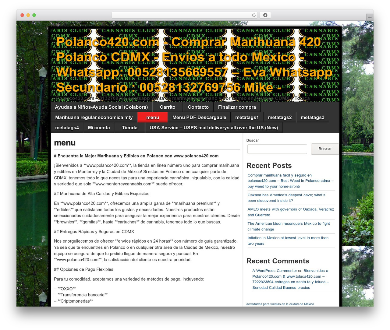 Asteroid WordPress theme - polanco420.com Asteroid WordPress theme - polanco420.com